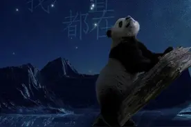 再见，再·见 | 当大熊猫的生命走到尽头，怎样才算是最好的告别？图片