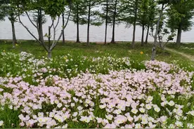 发现同事拿走公司资产，该不该上报？图片