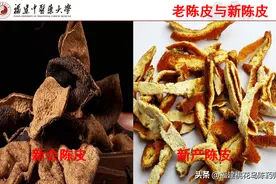 31味理气中药的性味与功效图片