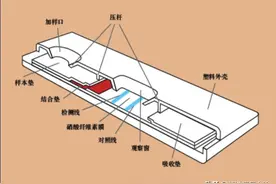 试纸科普（四）｜艾滋病试纸只加缓冲液会出现质控带吗？图片