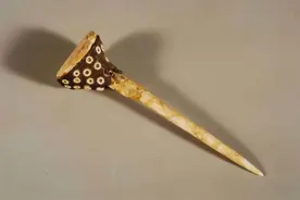 甘肃馆藏精品丨镶骨珠骨簪图片