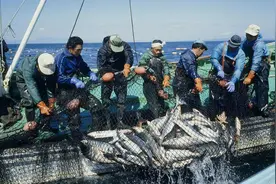 日本核污水入海，放射性元素超过60种，在华日企紧急澄清原料来源图片