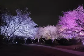 我的青春回忆录图片