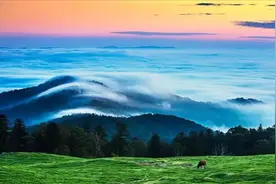 直飞阿勒泰！用《我的阿勒泰》方式打开吉林图片