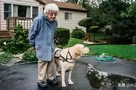 你永远不知道应该如何为老人找一个好保姆？图片