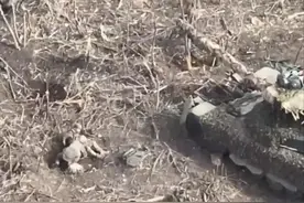 乌军伤兵抱着残肢，俄无人机精准补刀，炸得身体四分五裂图片