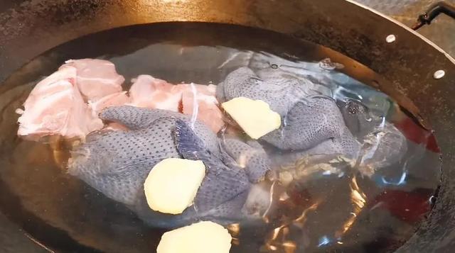 南非花胶功效与作用 2026年南非花胶功效与作用是什么