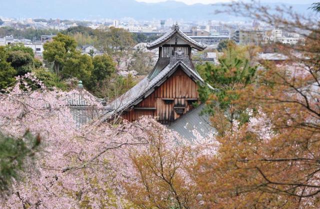 备受关注的房地产市场调查,分析房地产市场的情况