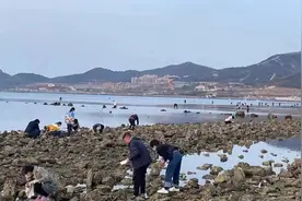 短短半个月，大风竟然给烟台人刮来这么多东西！图片