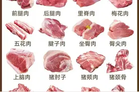 猪肉的各个部位名称（食用做法说明）图片