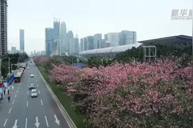 拥抱开放中国的发展新机遇——来自“中国第一展”广交会的一线观察图片