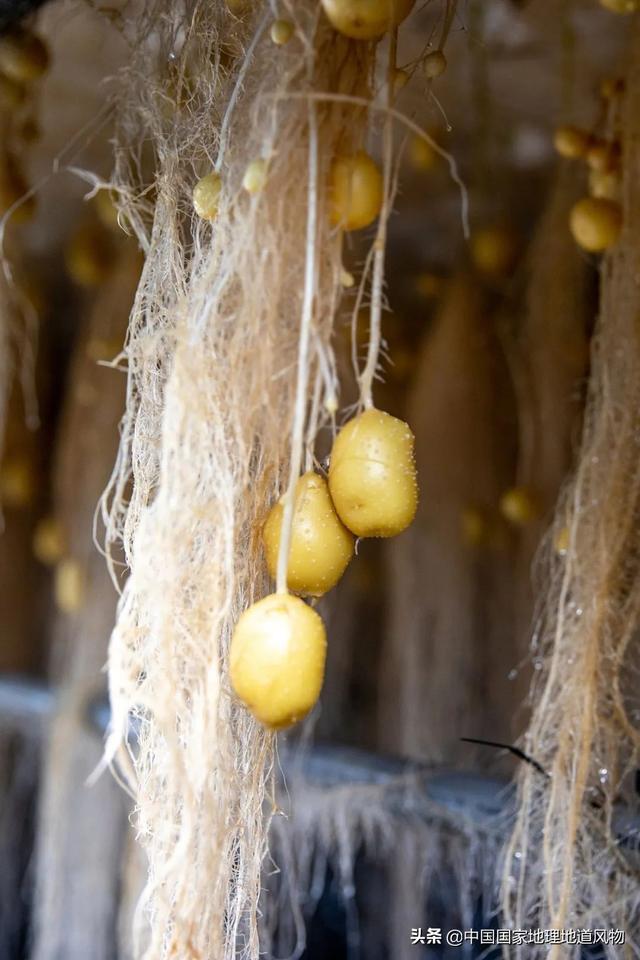 平凉属于陇南还是陇北 - 实验室设备网