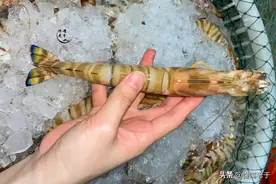 保存大虾：最忌直接扔冰箱，虾贩子教你一招，冻一年仍鲜嫩有弹性图片