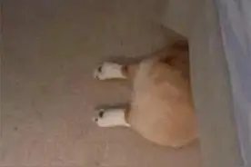 12345和12315的区别图片