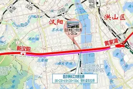 加快新汉阳站规划建设，打造城市交通枢纽和产城融合的高铁商圈图片