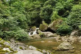 清明徒步好去处，可以露营可以野餐，不要门票离成都90分钟车程图片