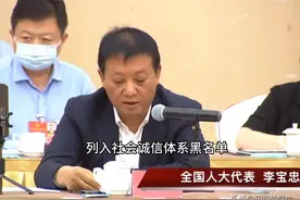 官司缠身却又提出惊人建议的李宝忠，是如何成为人大代表的？图片