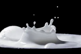 乳铁蛋白为什么这么火？图片