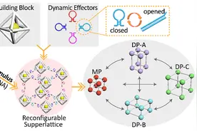 田野教授团队JACS：通过预设路径图驱动的动态DNA折纸晶体图片