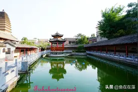 28）进豫·焦作：沁阳博物馆之河内石苑图片