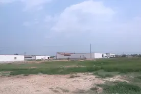 【原创】丑牛、俱牛的出生年份，以及丑牛移灵的年份考证图片