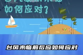 【东环映像】应急科普——台风暴雨来临如何应对？图片