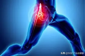 提高髋关节活动度的练习，帮你缓解久坐后的腰背痛图片