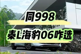 同998，秦L和海豹06怎么选？最大的区别您知道吗？性能动力是一致图片