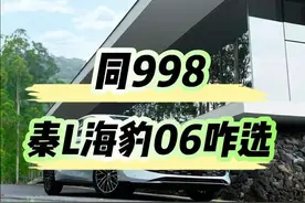 同998，秦L和海豹06怎么选？最大的区别您知道吗？性能动力是一致图片