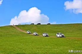 刚退休的夫妻一起去自驾游，为避免吵架，必须确定领导关系图片