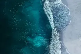 “荣耀手机”手机壁纸图片