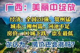 广西盘点：全国20强，南宁最强，贺州最猛，柳州最富，11城房价跌图片