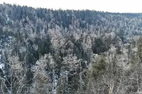 长白山北坡、西坡、南坡不同的玩法，以及如何前往最方便？图片