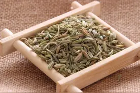 小茴香，大功效！碰上2种疾病，小茴香或许都能派上用场图片