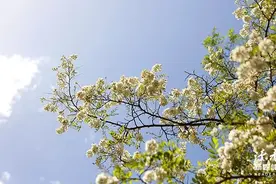 写给四月的9句话，带你感受温暖和希冀图片