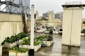 紧急通知：楼顶种菜、堆杂物违法！物业有权清理！图片