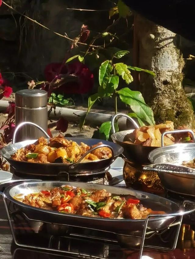 黄山奇遇记：冬观候鸟，野探短尾猴，一场徒步自然的探索之行