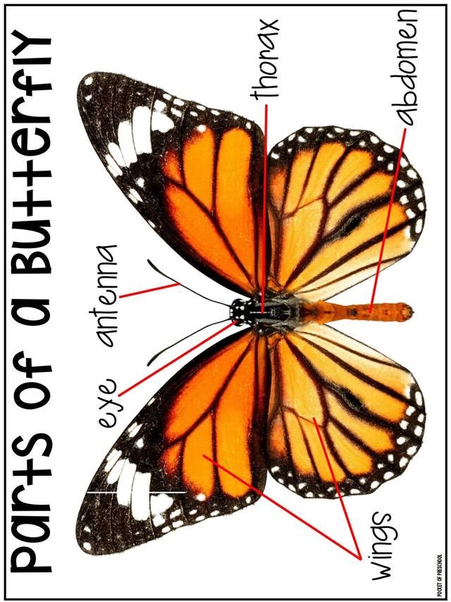 С��ѧ��̽��ϵ��֮���ں��������׻�زİ�