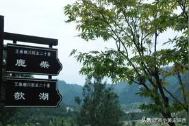 这个秦岭小镇，是多少人梦想的“桃花源”，深度探访才懂它的美图片