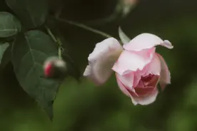 写给相爱，却不能在一起的人图片