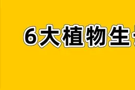 用好了是个宝，用不好是个害！这6大植物生长调节剂必须要了解图片