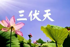 三伏天易长胖，记得少吃这4道菜，热量比红烧肉高，很多人还在吃图片
