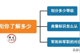 军衔共分多少等级？每个等级的肩章标识怎么认？这次终于弄清了图片