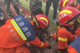 学生腿卡操场排水口，消防紧急救援！图片