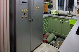 为何都说双开门冰箱不好？亲身体验后，发现这3个缺点确实很明显图片