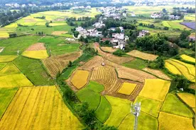 中国两个重要大省：湖南和湖北，仅一湖之隔为何差异无比大？图片