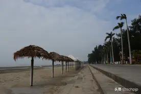 头条收益为“0”，原来是这些规则不知道图片