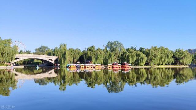 �峯���ʺ�ĵܵ����r��Ϊ��ҪͶ���Լ���Ԩ