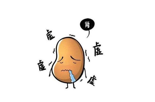 肾为先天之本,藏一身之精,我们肾精亏虚,就会比