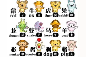 十二生肖及生肖年的英语表达图片